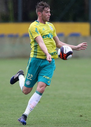Fabiano Palmeiras (Foto: Cesar Greco/Ag. Palmeiras)