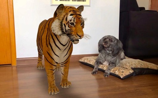 Tigre 3D: saiba como fazer para colocar animais de verdade no seu celular