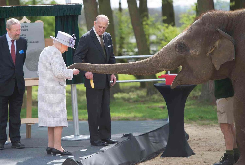 A rainha Elizabeth e o príncipe Philip alimentam elefante durante visita ao zoológico de Londres  — Foto: Davis Rose/Reuters