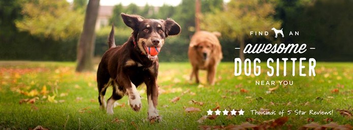 DogVacay oferece casa para seus cachorros enquanto você esitver longe (Foto: Divulgação/DogVacay)
