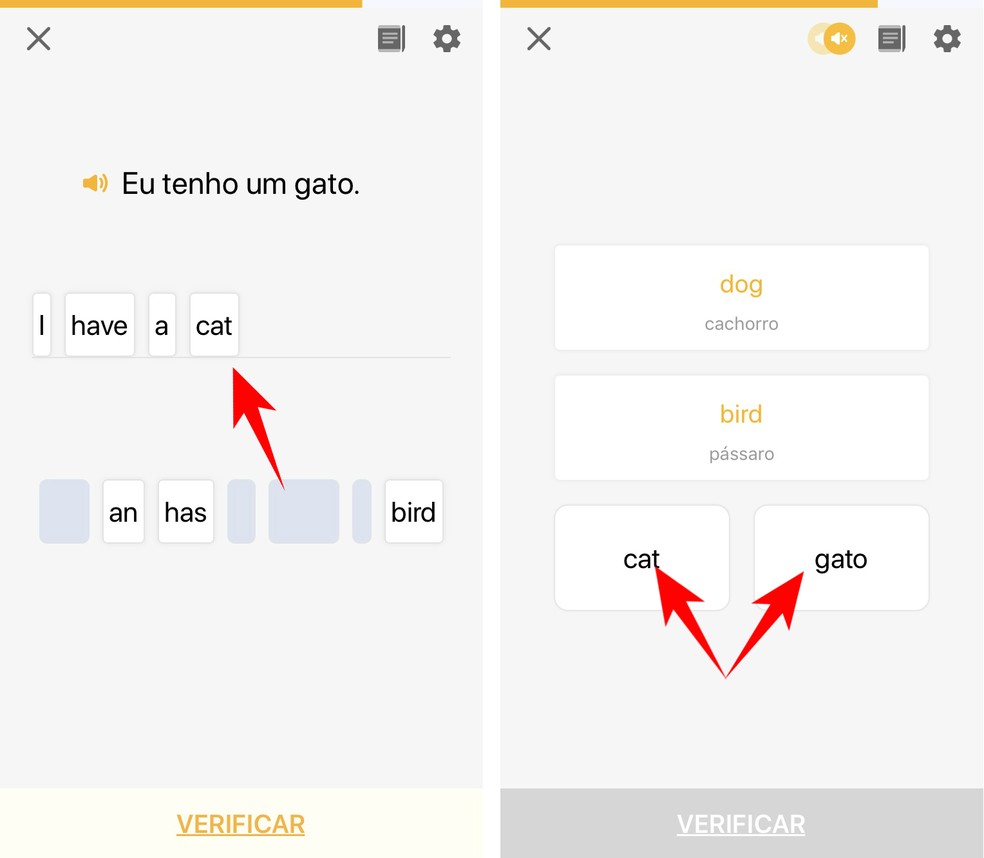 Como Usar O Aplicativo Lingodeer Para Aprender Ingles Pelo Celular Idiomas Techtudo