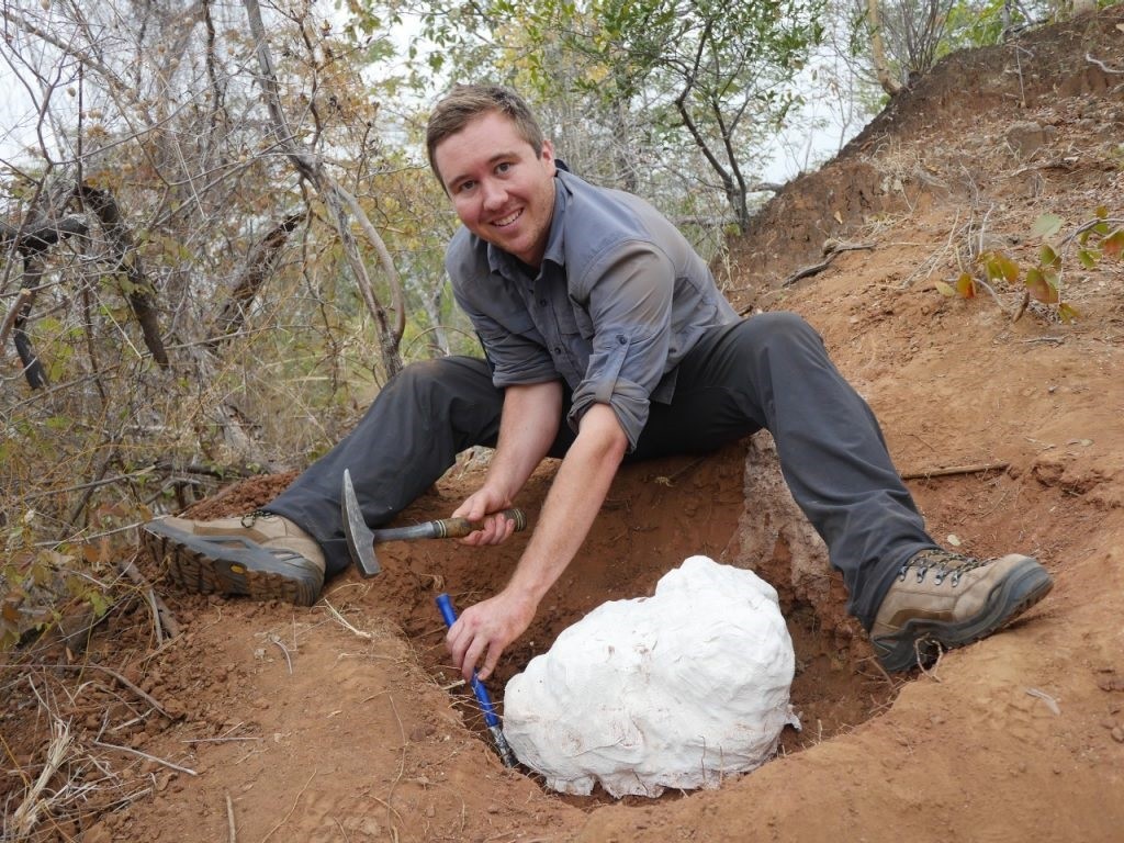 Dinossauro africano mais antigo é descoberto - Nerdizmo