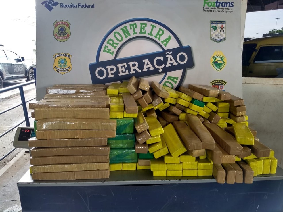 Segundo o BPFron, mais de 260 quilos de maconha foram apreendidos — Foto: William Brisida/RPC