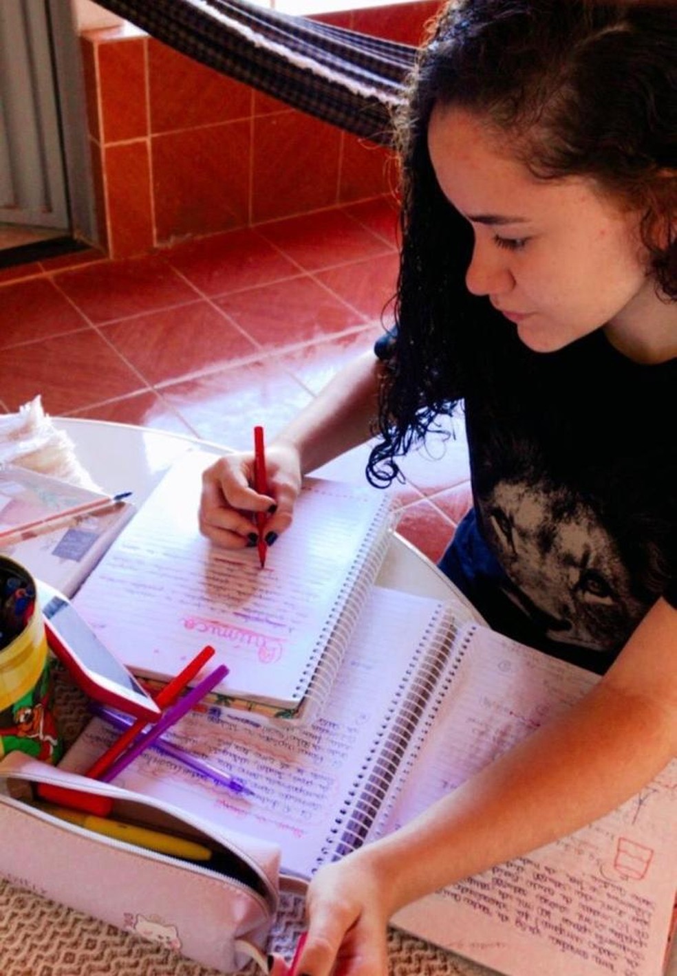 Ana Luiza aproveitou a quarentena para estudar o conteúdo por videoaulas na internet — Foto: Ana Luiza/Arquivo Pessoal