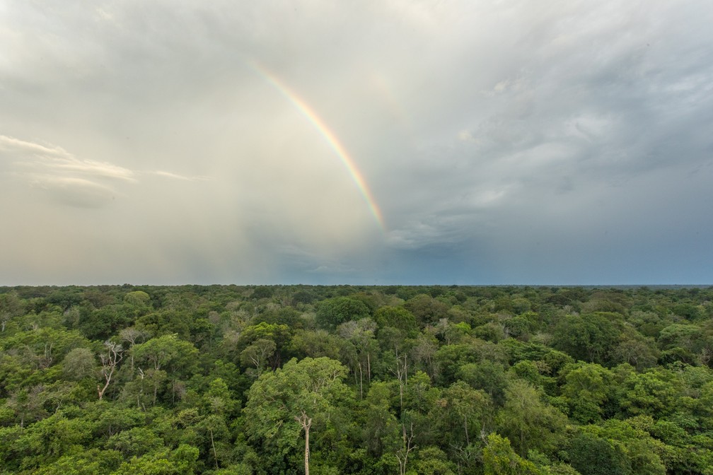 Árco-íris na floresta da bacia do Xingu pouco antes de chover — Foto: Carolina Dantas/G1