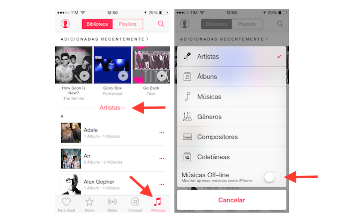 Ativando a visualização de músicas offline na biblioteca do Apple Music do iPhone (Foto: 