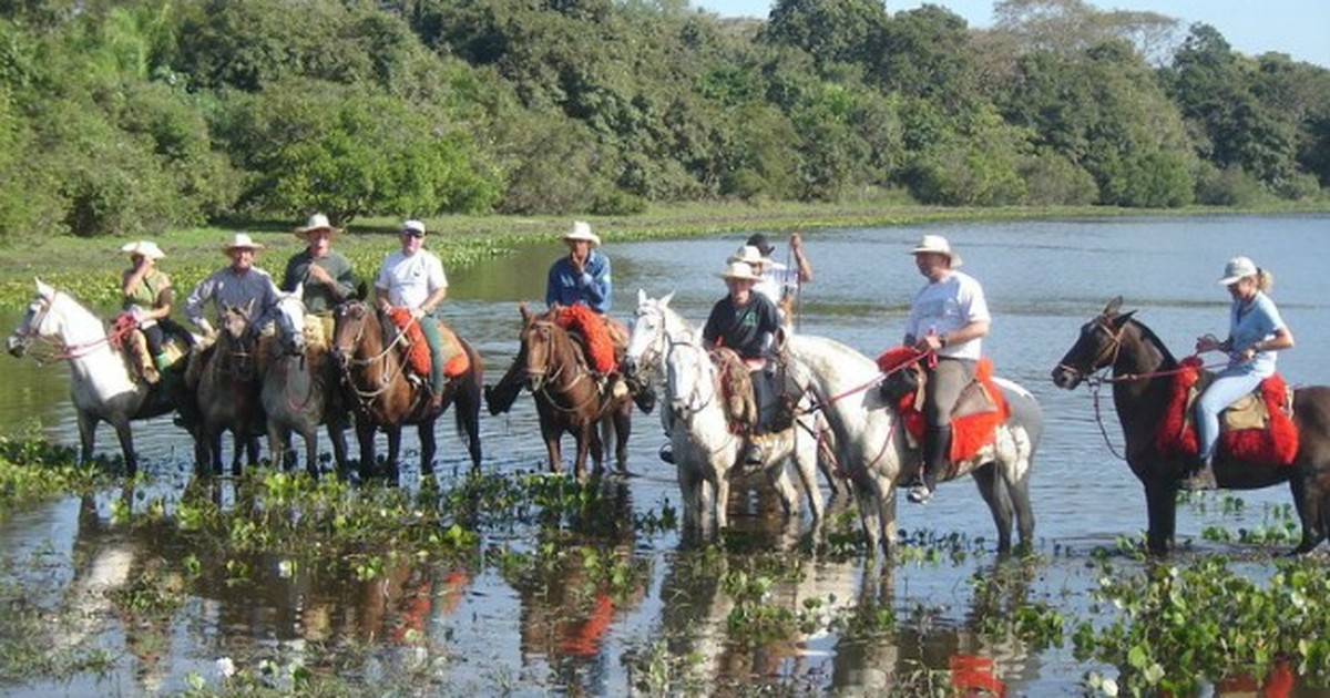 Passeios no Pantanal: por que fazer cavalgada no cerrado do Mato Grosso? -  Rede de Hotéis Mato Grosso