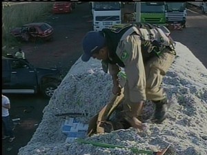 As 400 carteiras de cigarro estavam escondidas embaixo de algodão (Foto: Reprodução/TV Anhanguera TO)
