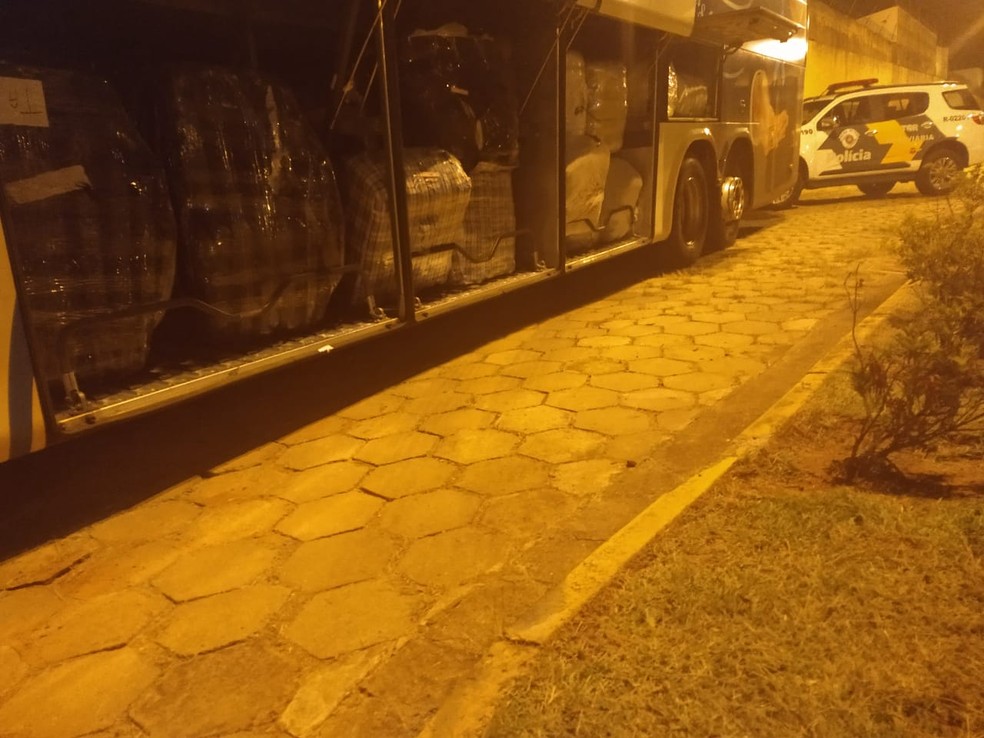 Ônibus com produtos foi abordado na SP-270, em Presidente Epitácio — Foto: Polícia Rodoviária/Cedida