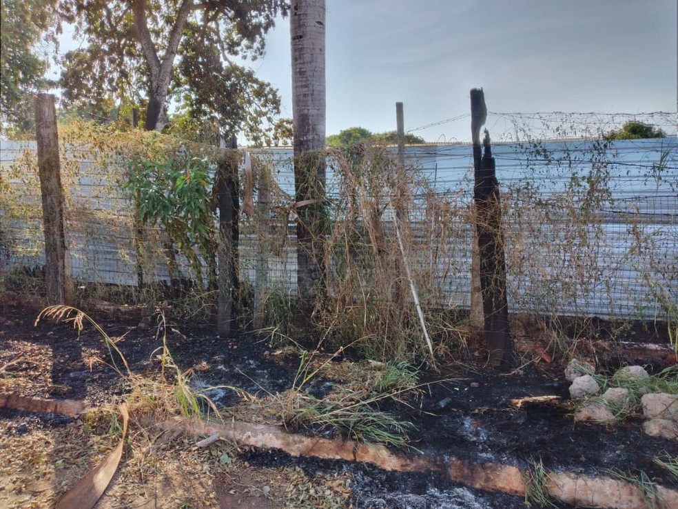 Área externa de oficina, onde proprietário suspeita que tenha começado o incêndio que danificou 27 veículos que estava no pátio — Foto: Eduardo Almeida/TV Morena