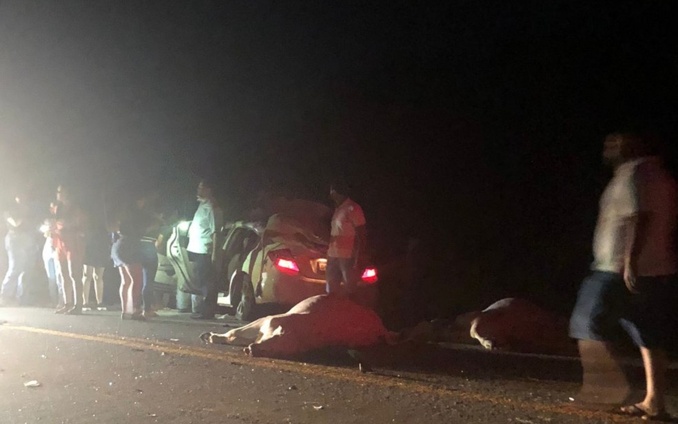 Vice-prefeito de Santa Terezinha de Goiás fica ferido ao bater carro contra vacas em Crixás - Goiás — Foto: Reprodução/TV Anhanguera