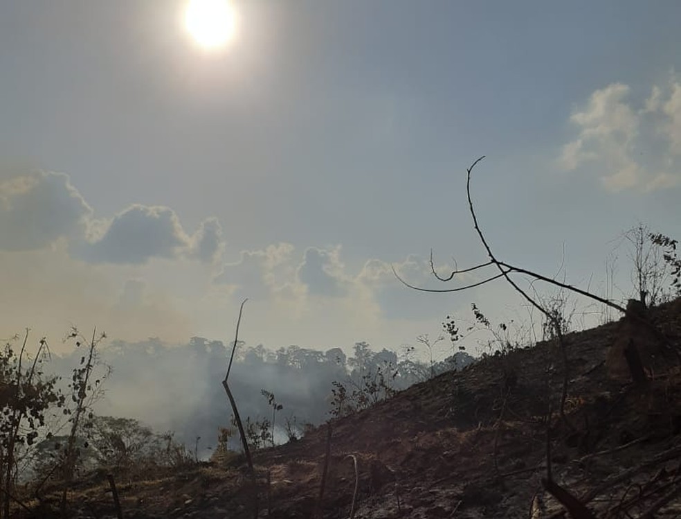 Incêndio na Reserva Margarida Alves em Rondônia, fotos são de agosto de 2020  — Foto: Flaviane Gava Ianiski/Arquivo pessoal 