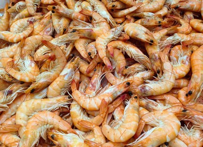 camarao-crustaceos (Foto: Creative Commons/Jacqueline Macou)