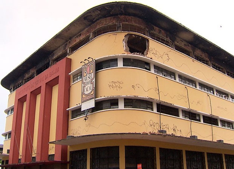 Estrutura do Instituto de Cacau da Bahia caiu após incêndio — Foto: Reprodução/TV Bahia