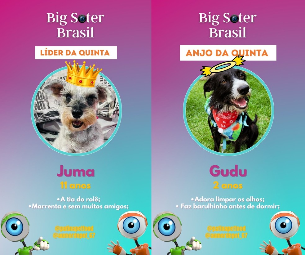 Vinda da guia, Juma é a nova líder. Gudu, que a indicou é o anjo da rodada. — Foto: Reprodução/RedesSociais