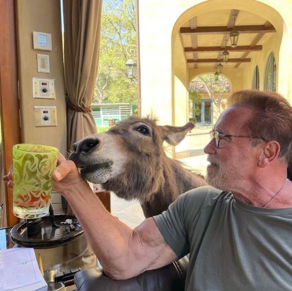 Arnold Schwarzenegger — Foto: Instagram