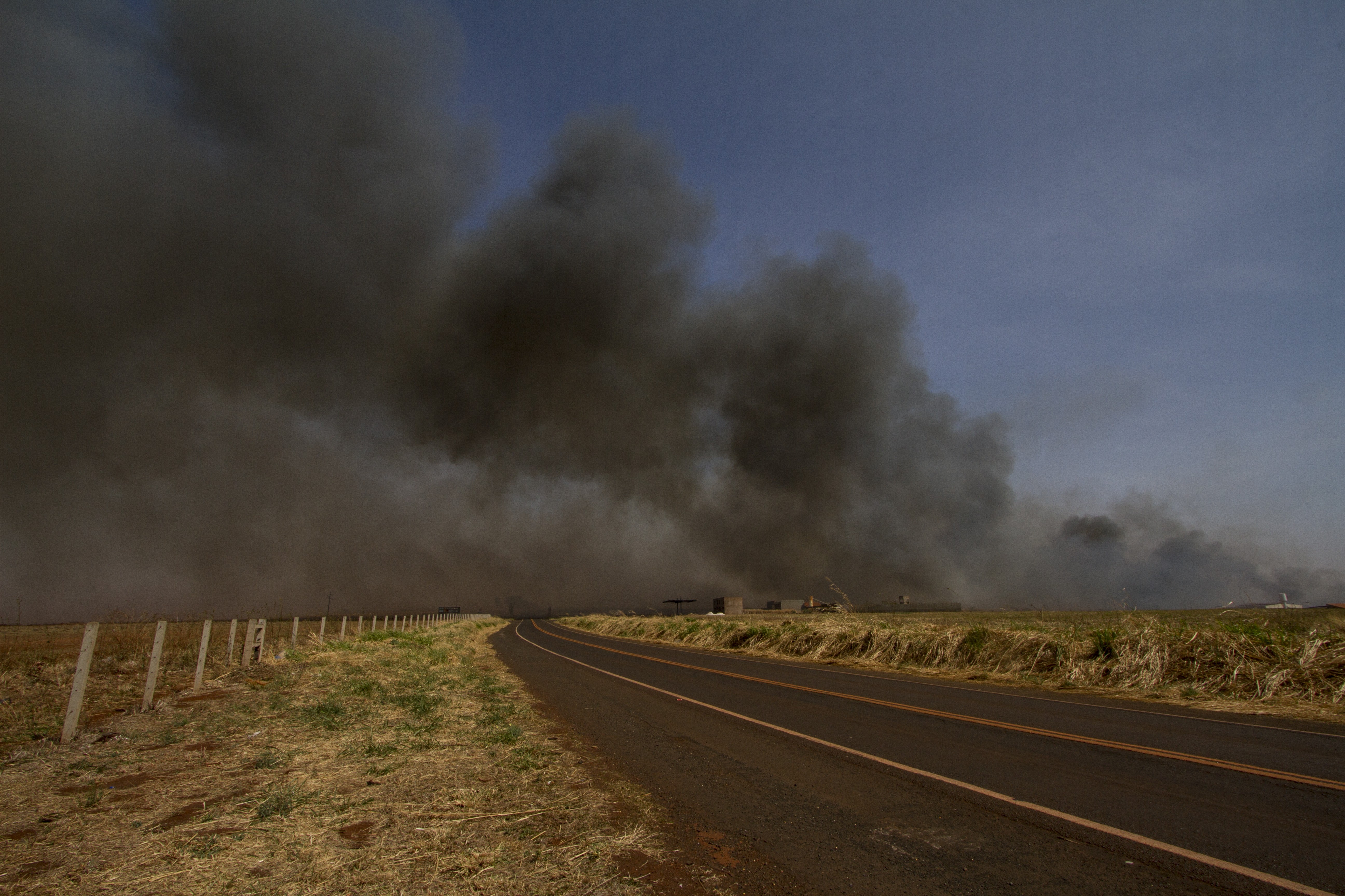 incendio-fazenda-rodovia-goias (Foto: Rogério Albuquerque)