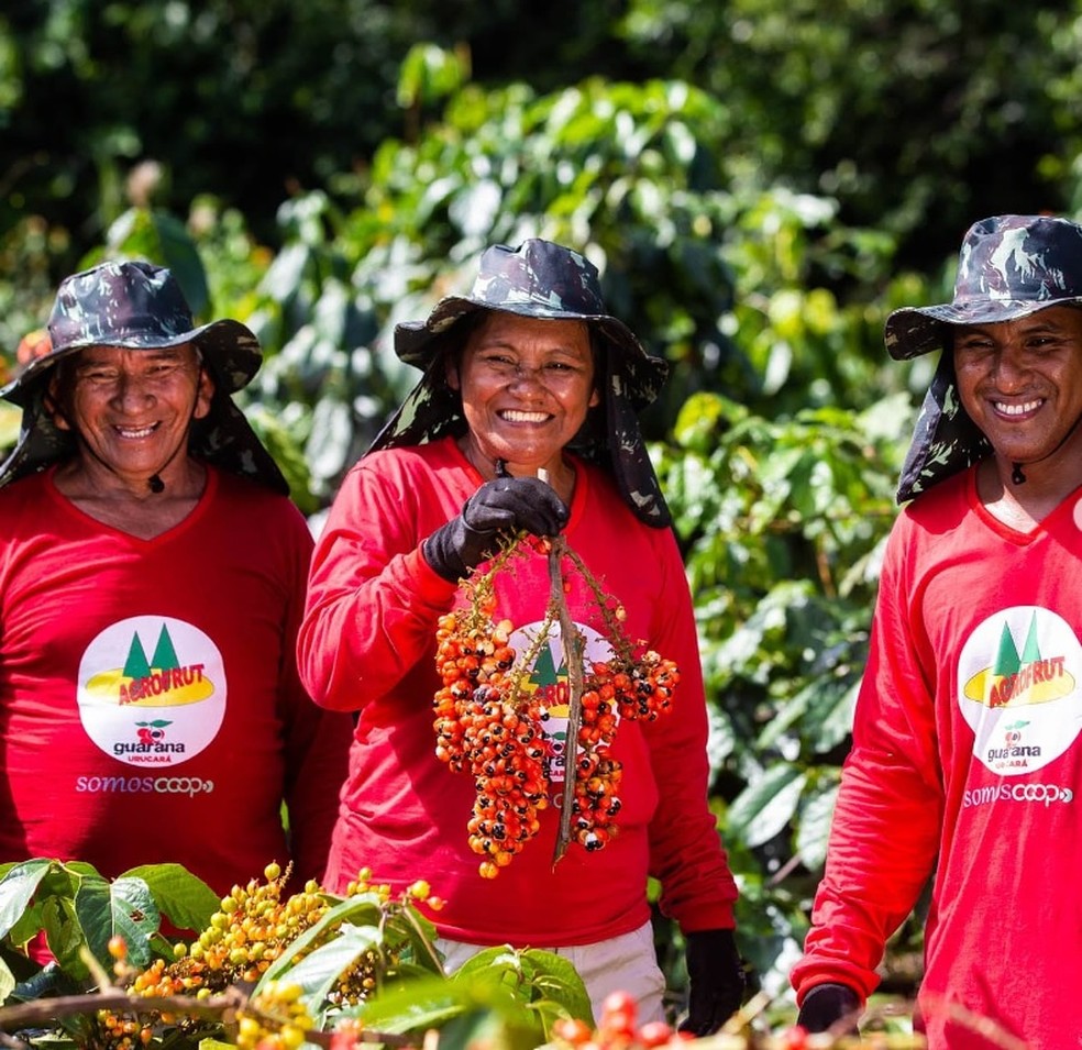 Produtores rurais de cooperativa atendida pelo programa "Olhos da Floresta", parceria da Coca Cola com o Imaflora — Foto: Reprodução / redes sociais