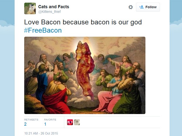  'Amo bacon porque bacon é nosso deus', publicou usuário do Twitter nesta segunda-feira  (Foto: Reprodução/Twitter/Cats and Facts)