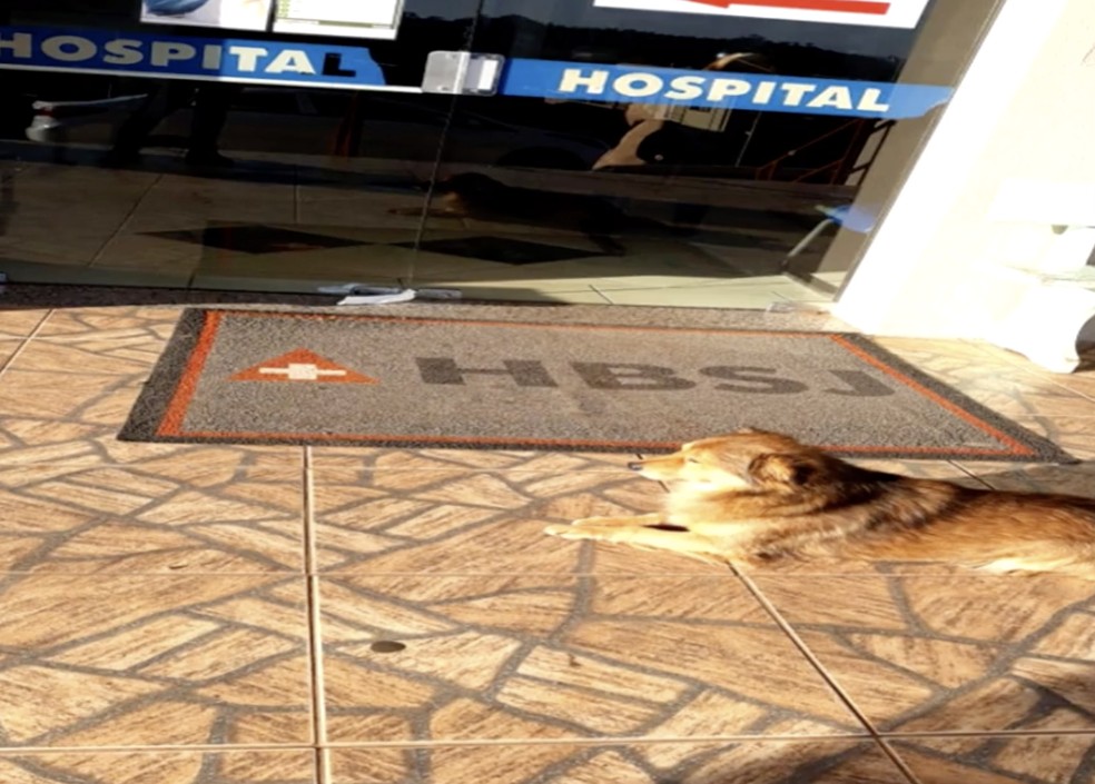 Didi ficou mais de 24h esperando o dono na porta do hospital — Foto: Reprodução / RBS TV 