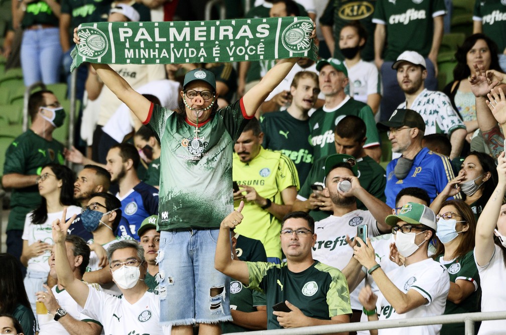 Torcida do Palmeiras contra o São Paulo — Foto: Marcos Ribolli