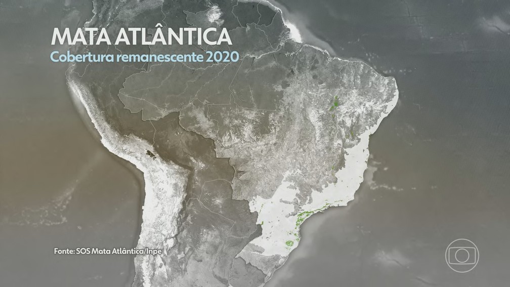 Cobertura remanescente da Mata Atlântica em 2020. — Foto: Reprodução/TV Globo