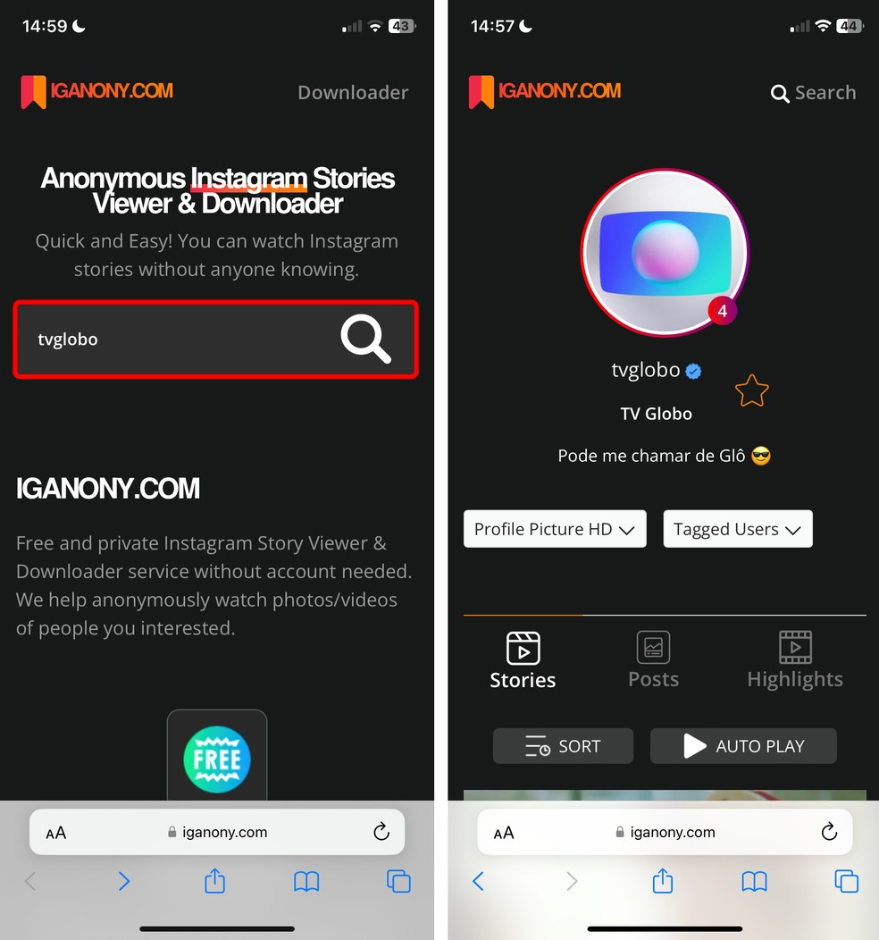 Site IG Anony permite ver story no Instagram sem ter conta na rede social pelo celular — Foto: Reprodução/Rodrigo Fernandes