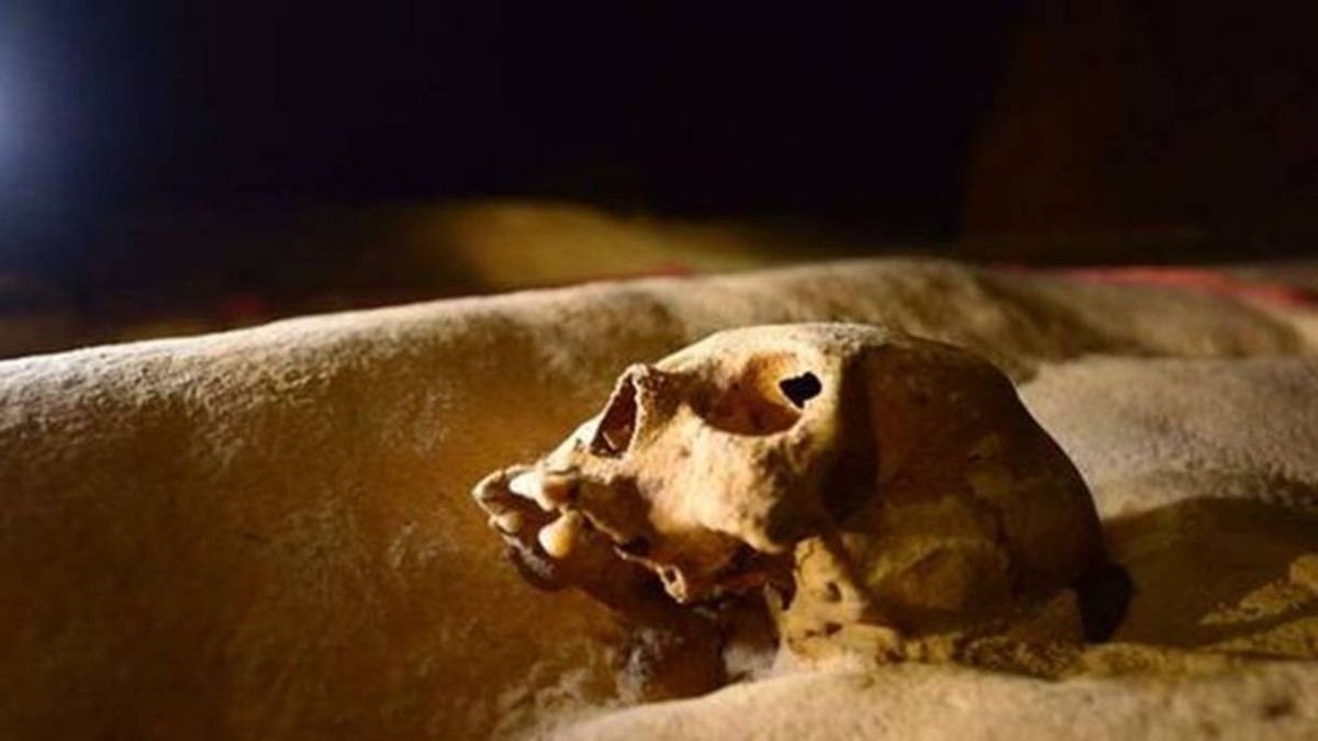 Cuevas que revelan el secreto de los sacrificios humanos de los mayas |  Globalismo