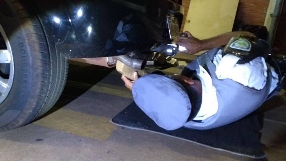 Droga foi apreendida na madrugada desta sexta-feira (8), em Presidente Epit&aacute;cio (Foto: Pol&iacute;cia Militar Rodovi&aacute;ria/Divulga&ccedil;&atilde;o)