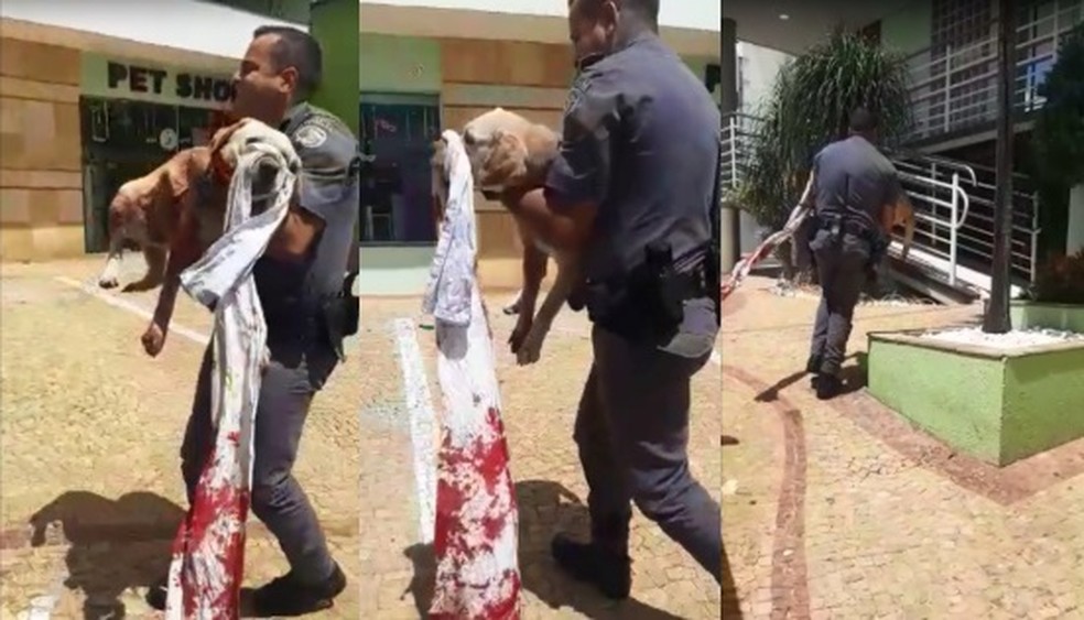Mulher ataca cachorro com faca e tenta agredir outra pessoa em Jaú — Foto: Polícia Militar/Divulgação