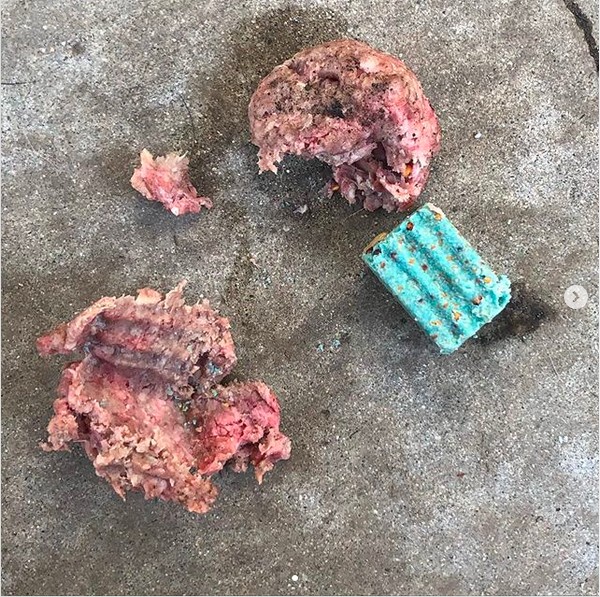 O registro compartilhado pelo músico Cedric Bexler Zavala mostrando o veneno de rato no meio do pedaço de carne jogado em seu quintal e que resultou na morte de seu cachorro (Foto: Instagram)