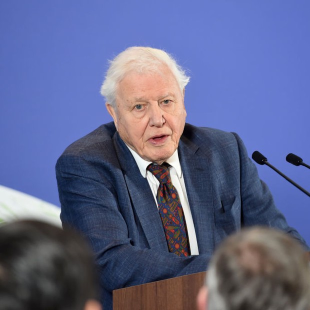 LONDON, ENGLAND - FEBRUARY 04: Sir David Attenborough speaks at the launch of the UK-hosted COP26 UN Climate Summit, being held in partnership with Italy this autumn in Glasgow, at the Science Museum on February 4, 2020 in London, England. Johnson will re (Foto: Getty Images)