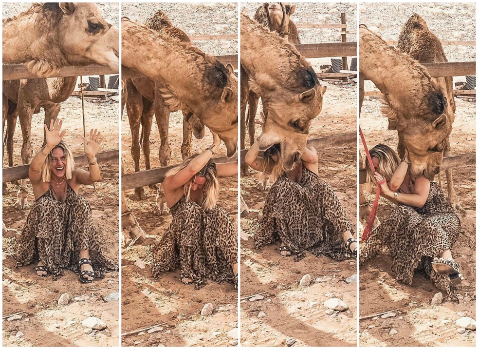 Giovanna Ewbank leva susto ao brincar com camelos em Dubai — Foto: Reprodução/Instagram