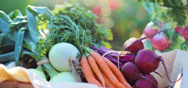 Frutas - verduras - legumes - alimentos - orgânicos - alimento saudável - alimentação (Foto: Pexels)