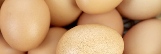 “Pense em ovos como se fossem máscaras capilares comestíveis”, diz especialista (Foto: Think Stock)