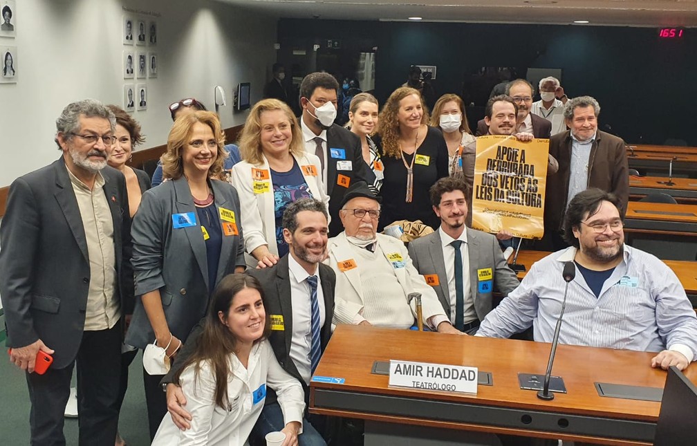 Artistas em audiência pública da Comissão de Cultura da Câmara dos Deputados nesta segunda-feira (4).  — Foto: Kevin Lima/g1