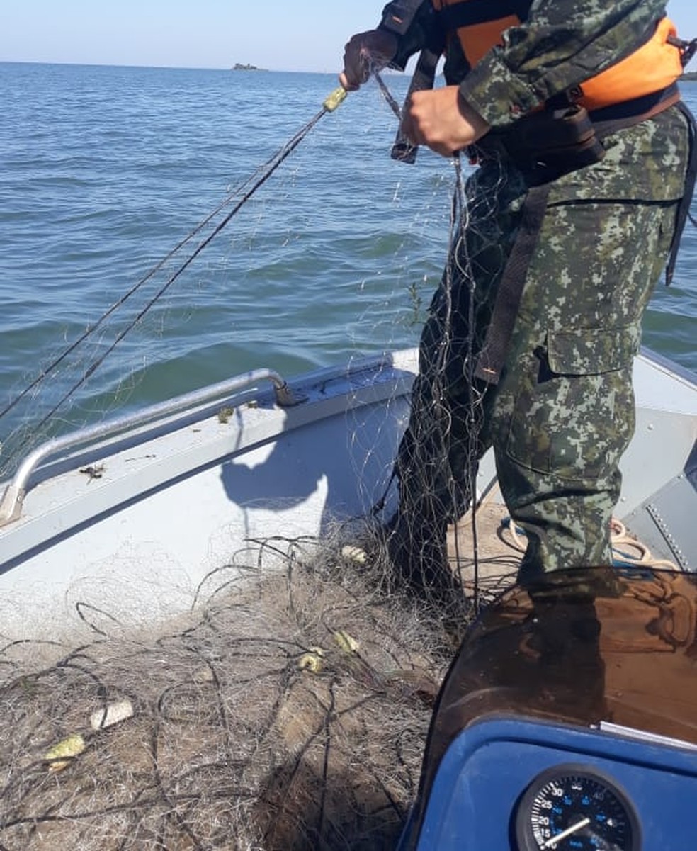 Nas redes de propriedade do infrator, a equipe encontrou peixes que ainda estavam vivos e foram devolvidos ao ambiente aquático. — Foto: Polícia Ambiental 