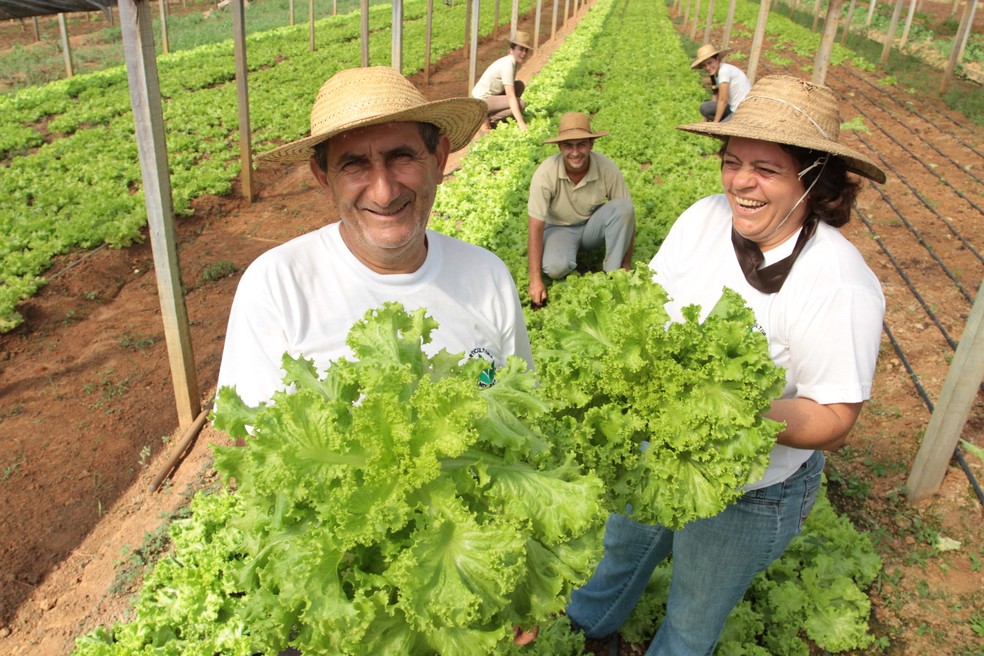 Família de agricultores familiares de Rondônia — Foto: Wenderson Araujo/Divulgação CNA