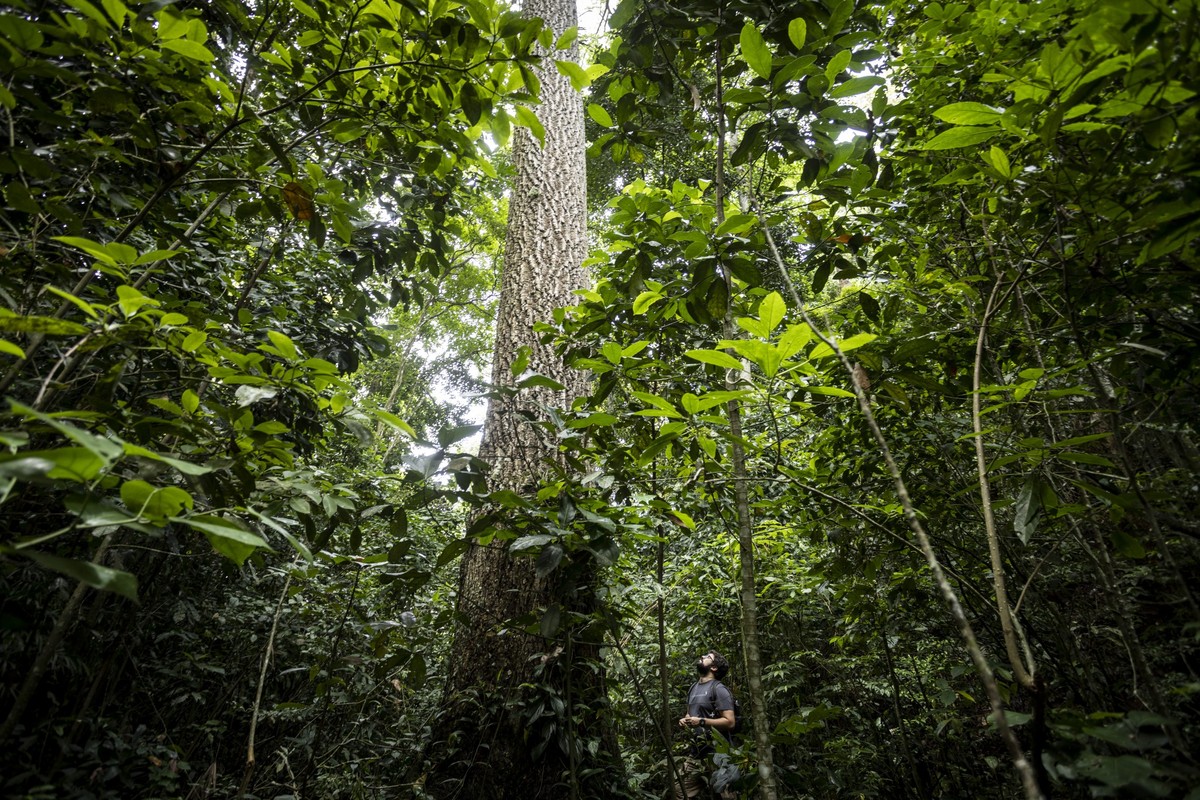 Pela garantia de um futuro para o Brasil e o mundo