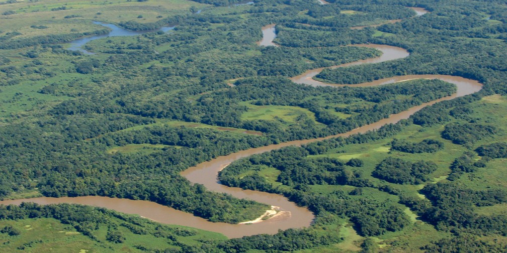 Parque Estadual do Aguapeí — Foto: Fundação Florestal 