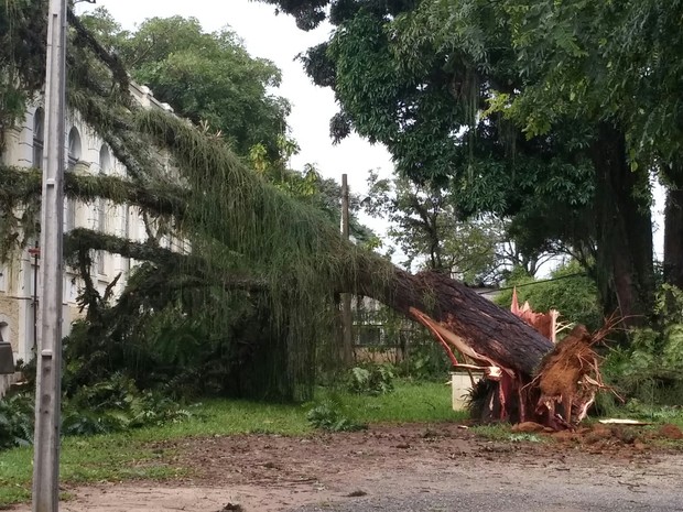 G1 - Comunidade Hare Krishna faz retiro de carnaval em Pinda, SP