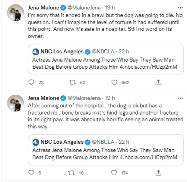 Jena Malone relata resgate de cachorro que era agredido  (Foto: Reprodução/Twitter)