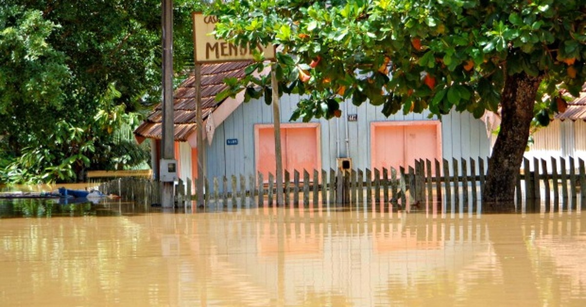 G1 - Rio, empates e forró inspiram linhas de móveis sustentáveis no Acre -  notícias em Acre