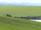 Chuva atrapalha plantio de trigo no RS e agricultores diminuem área