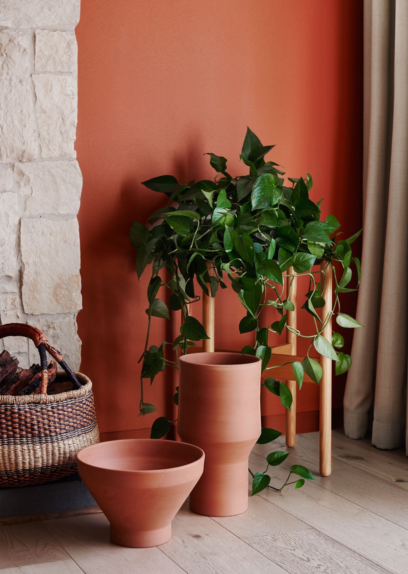 5 plantas que vão bem em qualquer ambiente da casa (Foto: Reprodução)