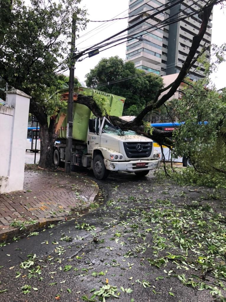 Caminhão derruba árvore, tem cabine destruída e provoca engarrafamento na Zona Norte do Recife