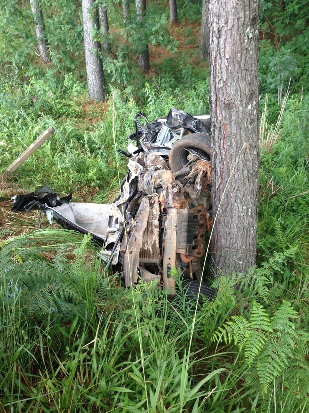 Carro colidiu contra pinus em acidente na SC-350 — Foto: Bombeiros/Divulgação