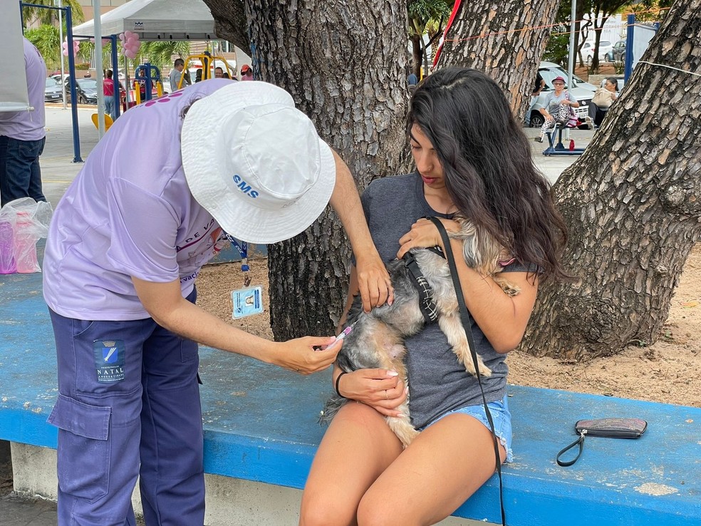 Natal realiza vacinação antirrábica casa a casa neste sábado (15) — Foto: Divulgação