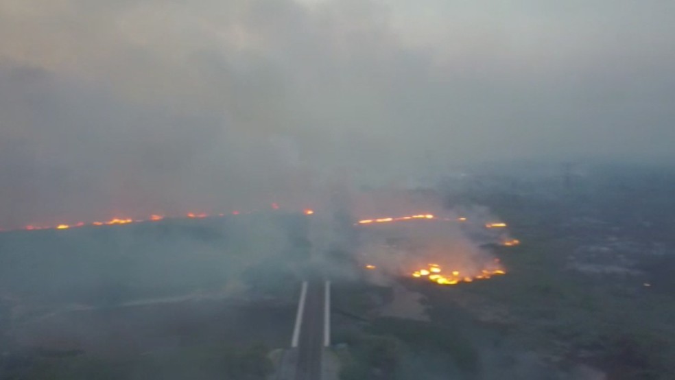 Fogo na vegetação perto da rodovia — Foto: Corpo de Bombeiros/Divulgação