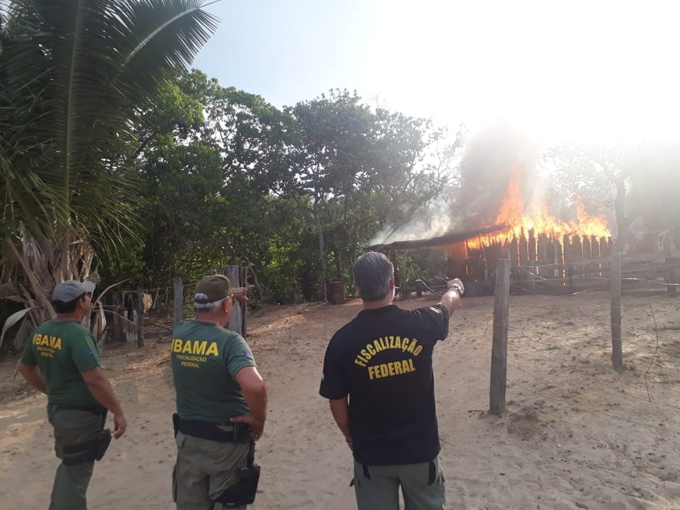 Fiscais do Ibama destruíram o acampamento, embarcações, equipamentos e uma motosserra na Terra Indígena Ubawawe, localizada no município de Santo Antônio do Leste (MT) — Foto: Ibama/Divulgação